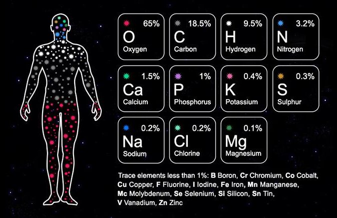 Composición química del ser humano