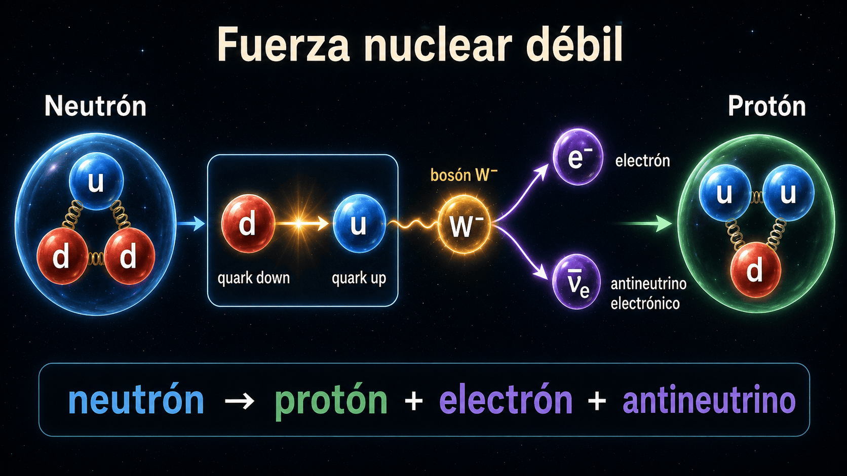 Diagrama de desintegración beta donde un neutrón se transforma en protón mediante un bosón W menos de la fuerza nuclear débil