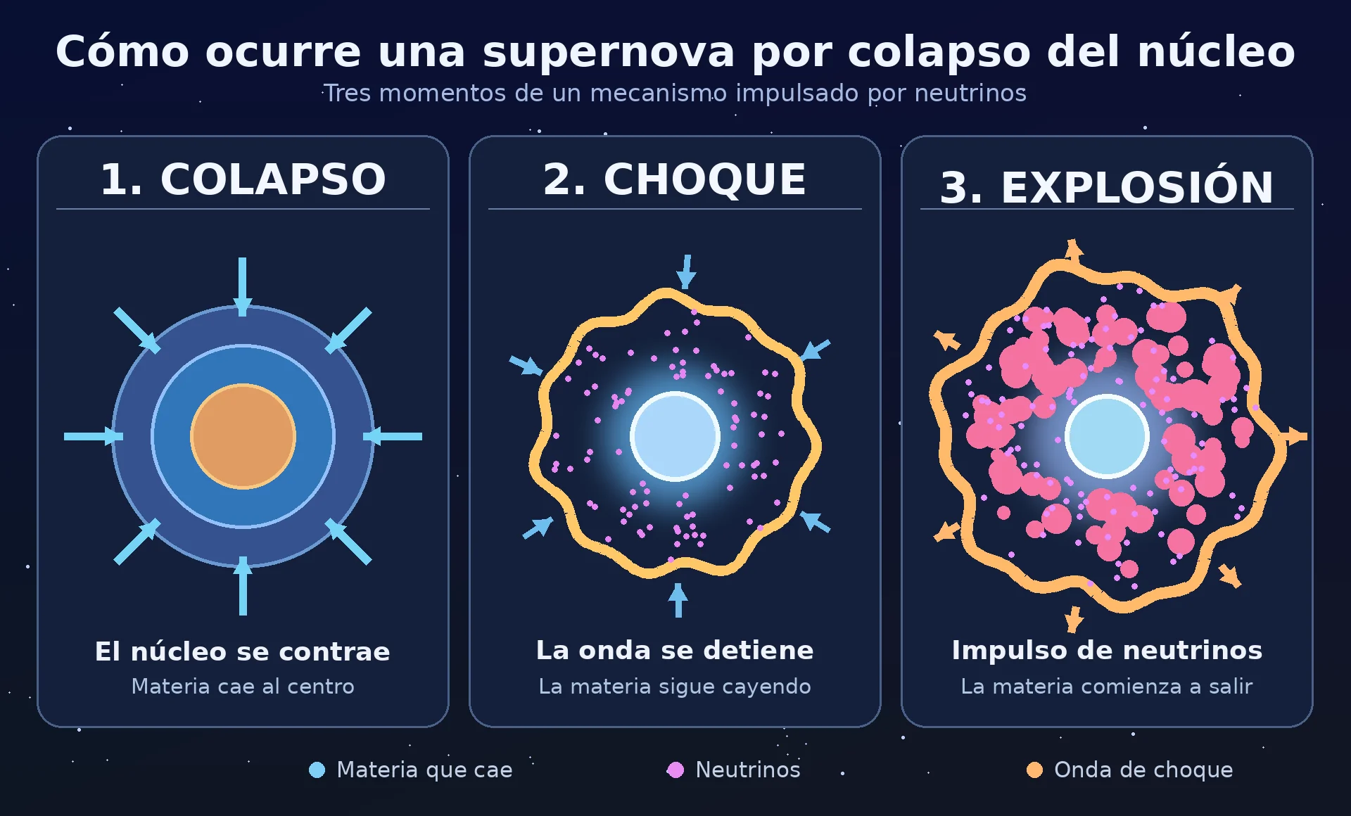 Diagrama de tres etapas de una supernova por colapso del núcleo: contracción, onda de choque detenida y reactivación por neutrinos.